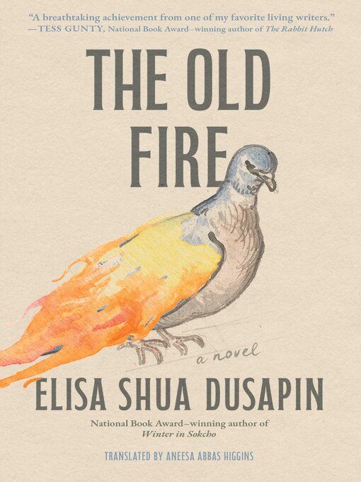 Title details for The Old Fire by Elisa Shua Dusapin - Wait list